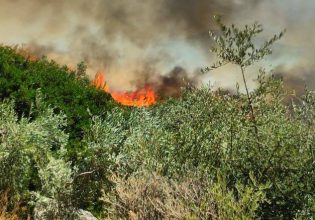 Φωτιά τώρα στη Σέριφο – Εκκενώνονται δύο περιοχές