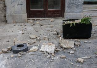 Τα ζώα «ένιωσαν» τον σεισμό στην Κρήτη πριν χτυπήσει