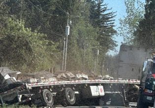 ΗΠΑ: Συναγερμός στην Ουάσινγκτον – Εκατομμύρια μέλισσες «απέδρασαν» μετά από ανατροπή φορτηγού