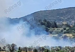 Συναγερμός για φωτιά στα Σπάτα – Στο σημείο ισχυρές δυνάμεις της Πυροσβεστικής