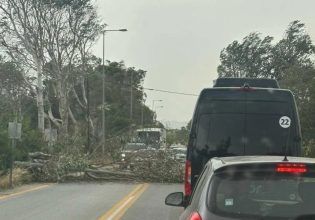 Κρήτη: Πτώσεις δέντρων, κλειστοί δρόμοι, προβλήματα σε αεροδρόμια λόγω σφοδρών ανέμων