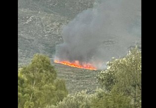 Φωτιά τώρα στην Σπάρτη – Επιχειρούν εναέρια μέσα