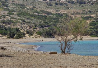 Γαύδος: Τουρίστες βρήκαν σε παραλία πτώμα σε προχωρημένη σήψη