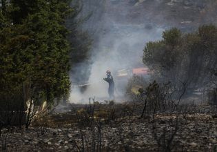 Λέκκας: Έχει χαθεί το 70% του δασικού ιστού στην Αττική – Δεν έχουμε την πολυτέλεια να χάσουμε ούτε ένα δέντρο
