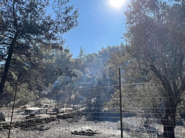 Φωτιά: Πύρινη κόλαση στη Χίο – Στάχτη 62.000 στρέμματα δασικής και χορτολιβαδικής έκτασης