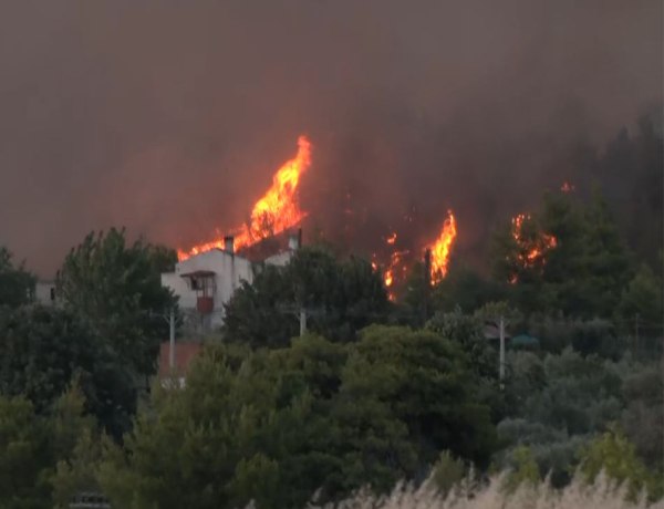 Μια ανάσα από σπίτια η φωτιά στον Ωρωπό – Εξαπλώνεται το πύρινο μέτωπο, εκκενώθηκε το Ασπροχώρι